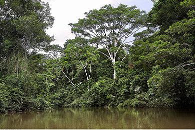 国外网友对《悟空》点赞 3A国产游戏将更加普及